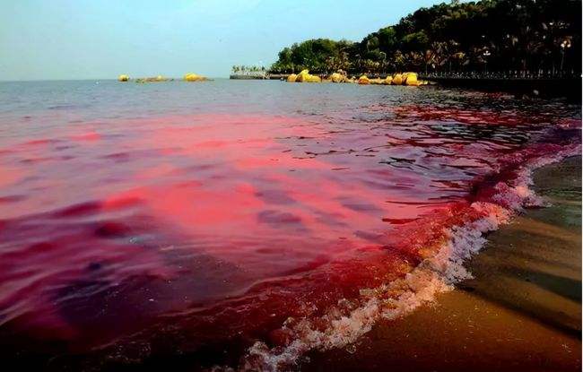 1645176877139727.jpg src=http___nimg.ws.126.net__url=http___dingyue.ws.126.net_2021_1003_1a9786fdj00r0dpcs007mc000zm00mqm.jpg&thumbnail=650x2147483647&quality=80&type=jpg&refer=http___nimg.ws.126.jpg